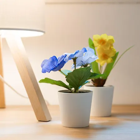 Belvedere House 2 In Center Apartmán Boloňa