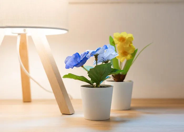 Belvedere House 2 In Center 아파트 볼로냐