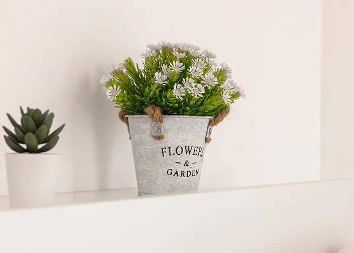 Belvedere House 2 In Center *