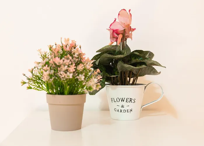 Belvedere House 2 In Center *