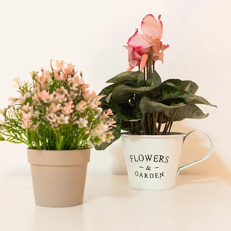 Belvedere House 2 In Center *